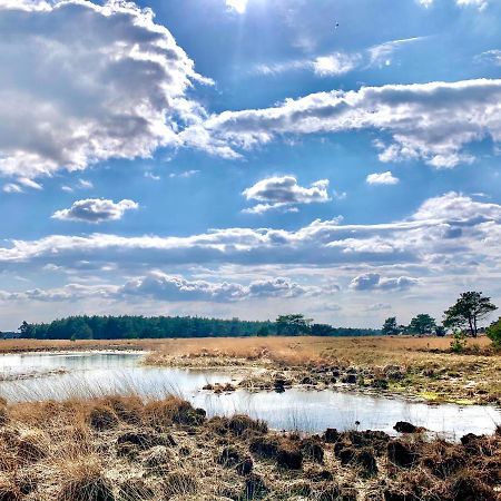 Veluwse Wolf: Natuurlijk Genieten! Otterlo Dış mekan fotoğraf